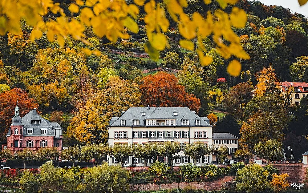 Villa am Hang im Herbstlaub