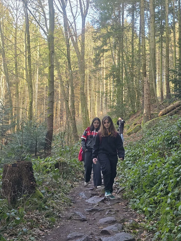 Freizeit: Wanderung auf dem Waldweg