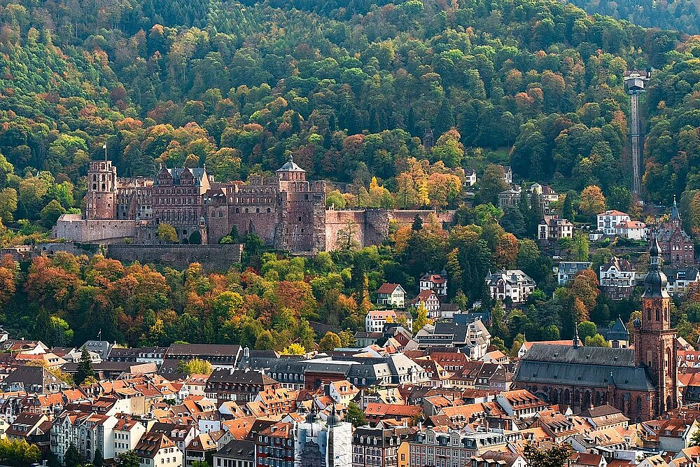 Blick auf Schloss und Altstadt im Herbst