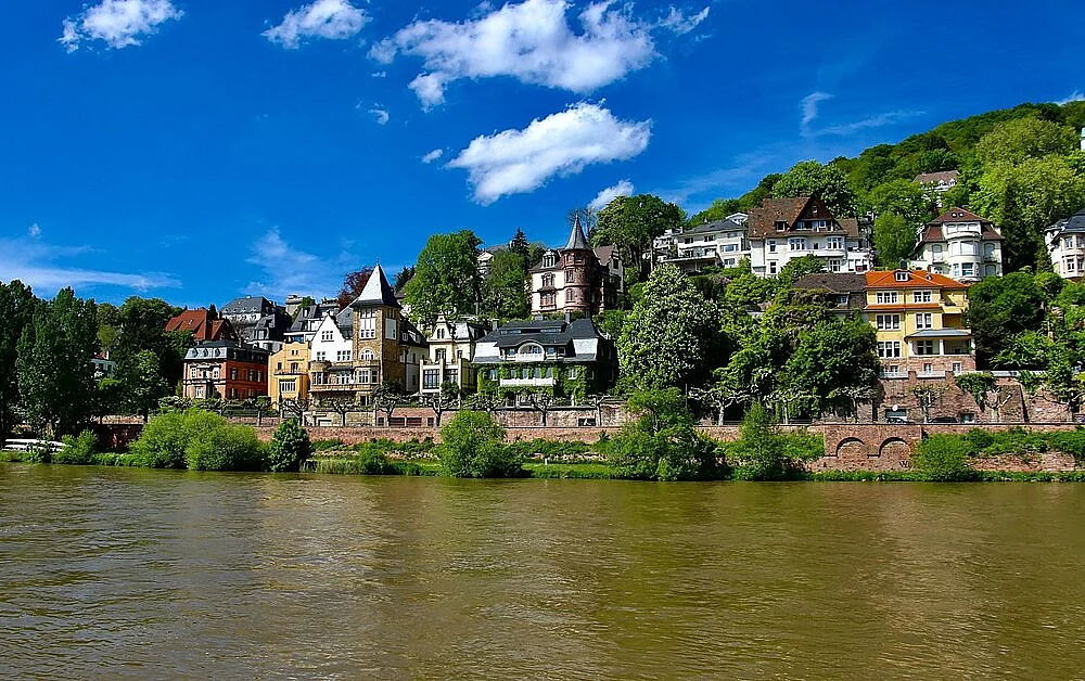 Villen am Neckarufer im Sommer